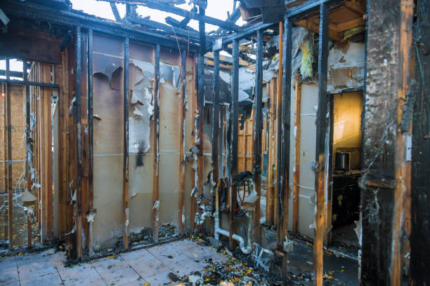 Professional Soot Cleanup technician working in Webster, FL