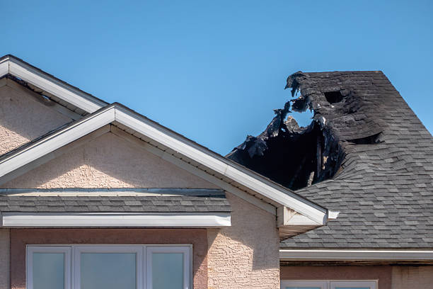Top rated local Soot Cleanup specialists in Webster, FL